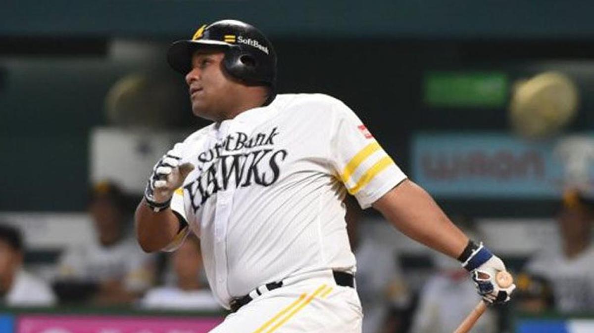 ALFREDO DESPAIGNE tuvo una destacada temporada en la pelota profesional nipona.