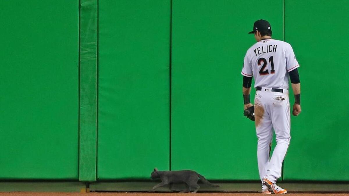 CHRISTIAN YELICH observa el gato durante la quinta entrada del juego del 11 de abril en Miami.