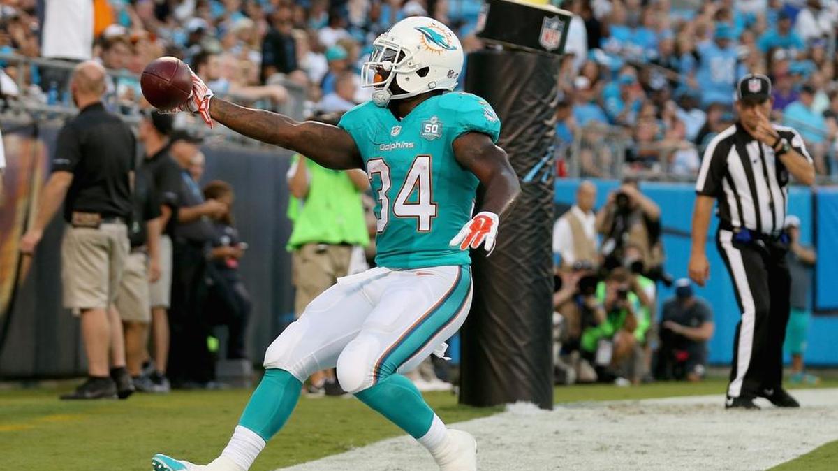 
Damien Williams celebra luego de anotar un TD para los Dolphins contra los Panthers, el sábado.
