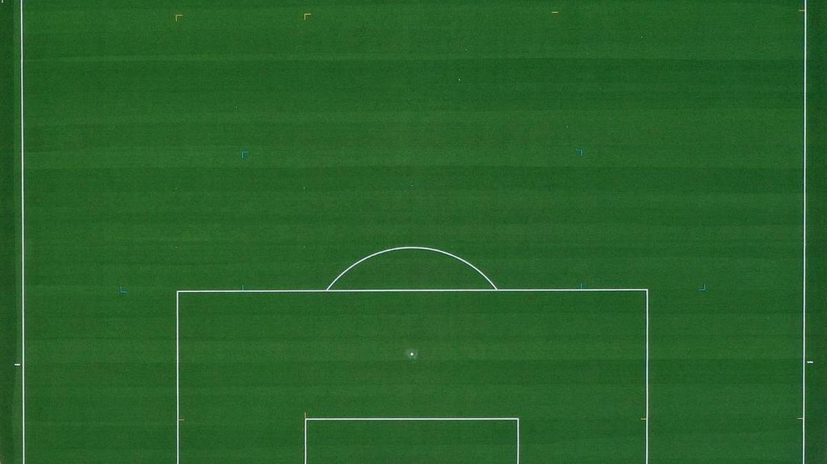 Vista aérea de una cancha donde se aprecia el área, el punto penalti y la portería.