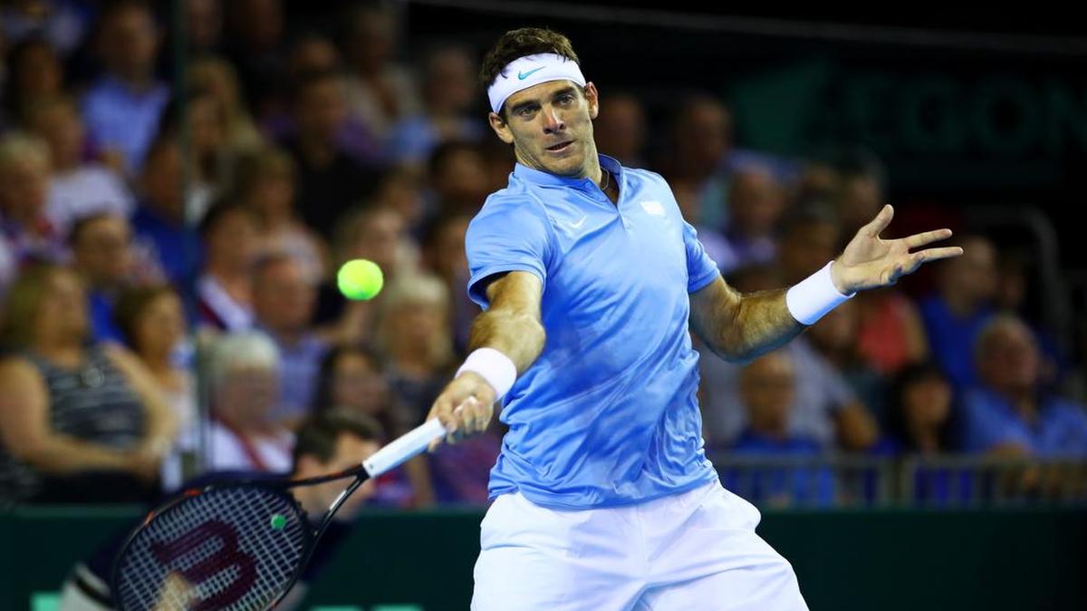 Juan Martín del Potro no estará con  Argentina para la serie de local de Copa Davis ante Italia, del 3 al 5 de febrero.
