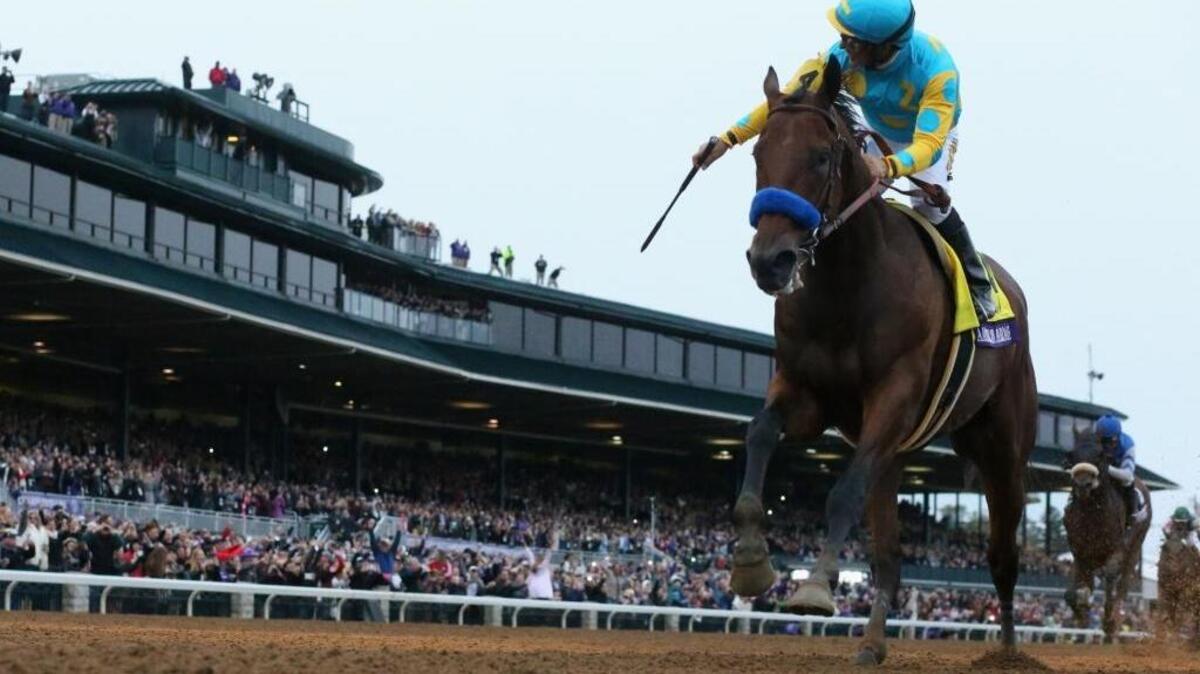 El jinete mexicano Víctor Espinoza conduce a la victoria a American Pharoah (# 4) en el Breeders' Cup Classic en el Keeneland Racecourse, el 31 de octubre del 2015 en Lexington, Kentucky.