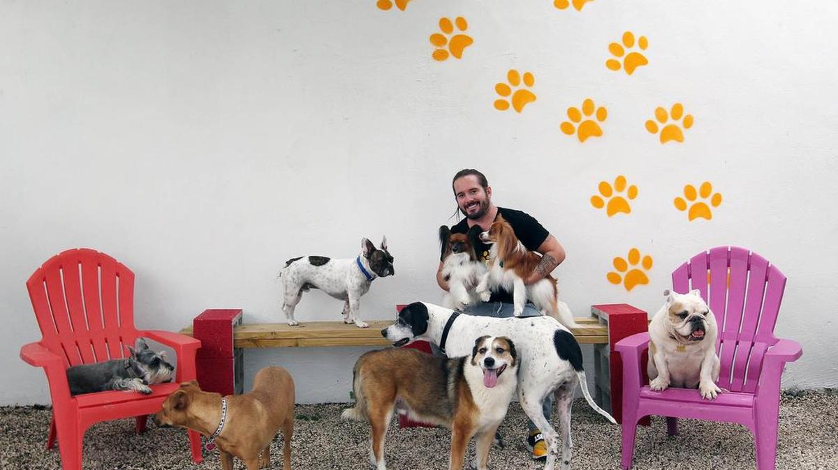 Rolando Solar, centro, con algunas de las mascotas en Pet Lounge, un nuevo hotel para perros, fotografiados el miércoles, 7 de octubre del 2015.