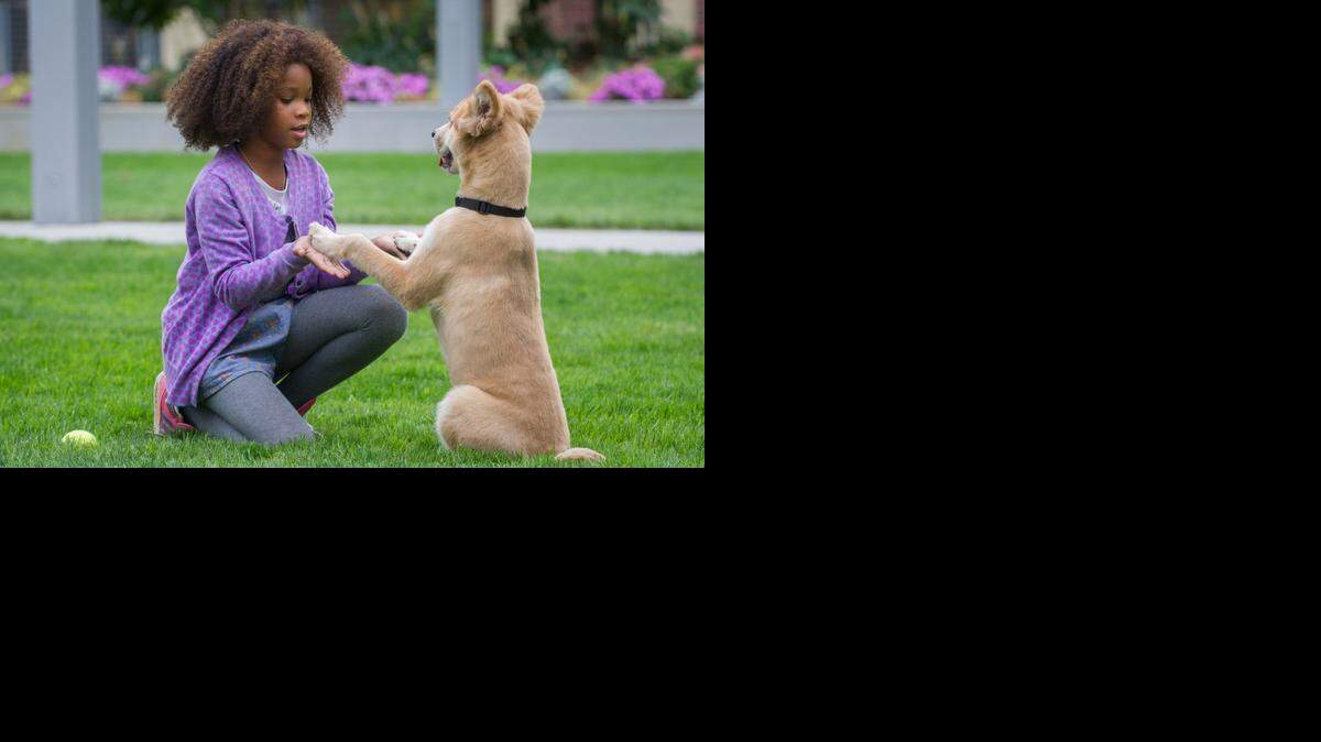 
Quvenzhane Wallis en una escena de ‘Annie’, dirigida por Will Gluck.
