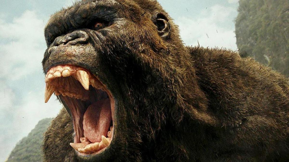 Su majestad el rey, en “Kong: Skull Island”. La cinta arrasó en la taquilla el fin de semana de su debut.