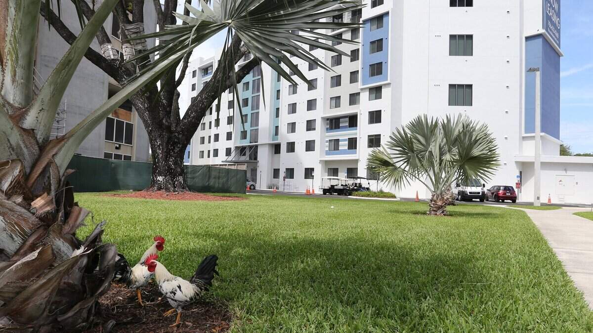 Brisas del Este, edificio de ocho pisos de viviendas asequibles y de ingresos mixtos en la comunidad Three Round Towers, vecindario de Allapattah, Miami, el miércoles 27 de abril de 2022.