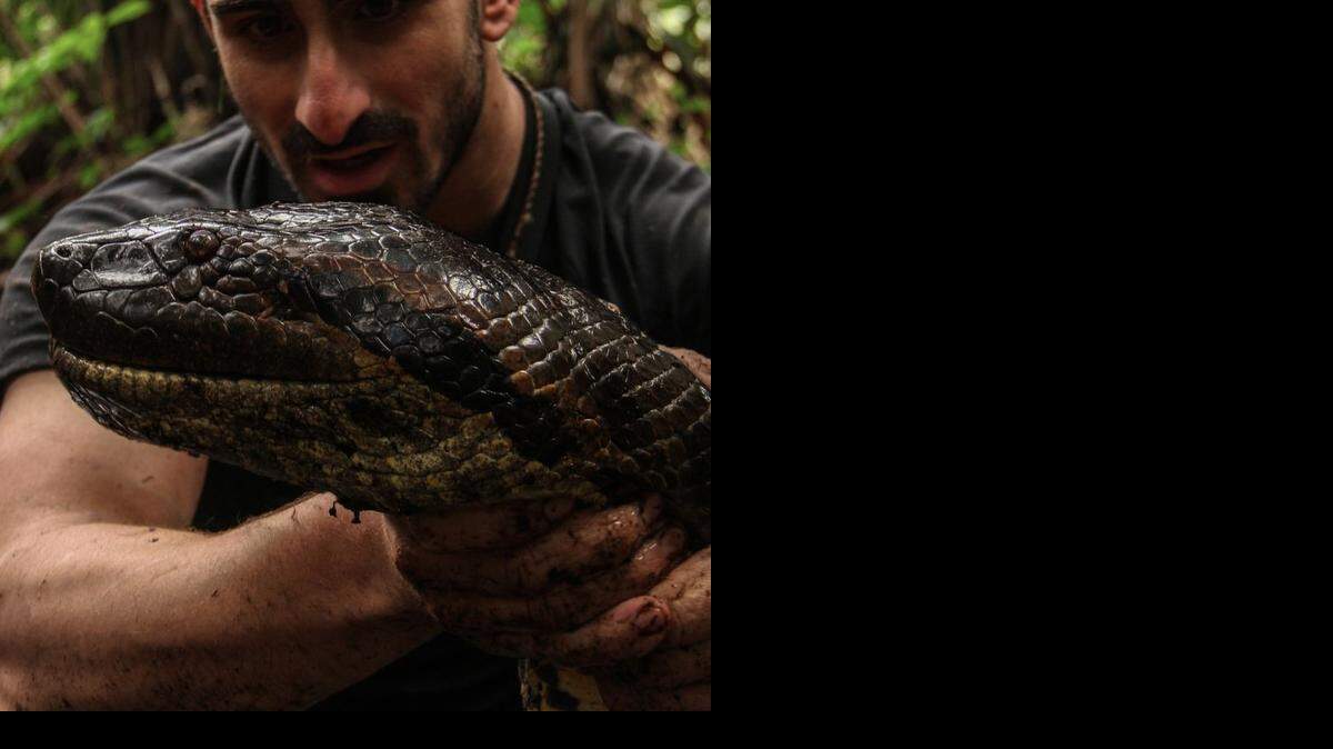
El cineasta Paul Rosolie con una anaconda
