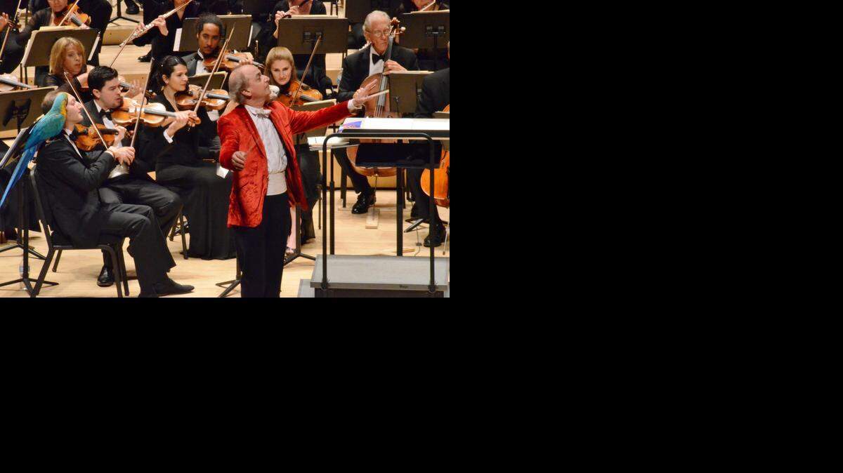 
La Orquesta Sinfónica de Miami (MISO), dirigida por Eduardo Marturet, presenta un programa que incluye oberturas, valses y polcas vienesas.
