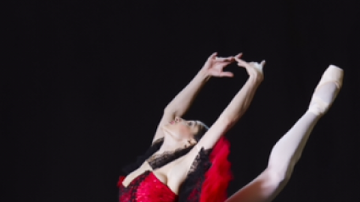 
Marizé Fumero bailará en el rol de Kitri en Don Quijote, con el Cuban Classical Ballet of Miami.
