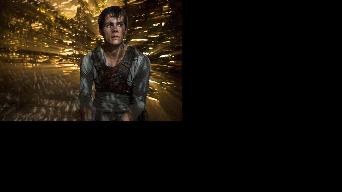 
Según datos publicados este lunes por la web especializada Box Office Mojo, “The Maze Runner”, con un reparto encabezado por Dylan O'Brien (foto), Kaya Scodelario, Thomas Brodie-Sangster y Will Poulter, recaudó 32.5 millones de dólares gracias a su presencia en más de 3,600 cines.
