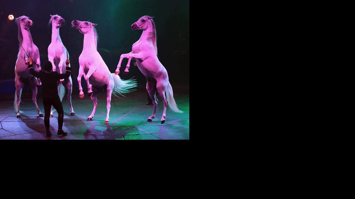 
El Circo Hermanos Vázquez se presenta en el Adrienne Arsht Center.
