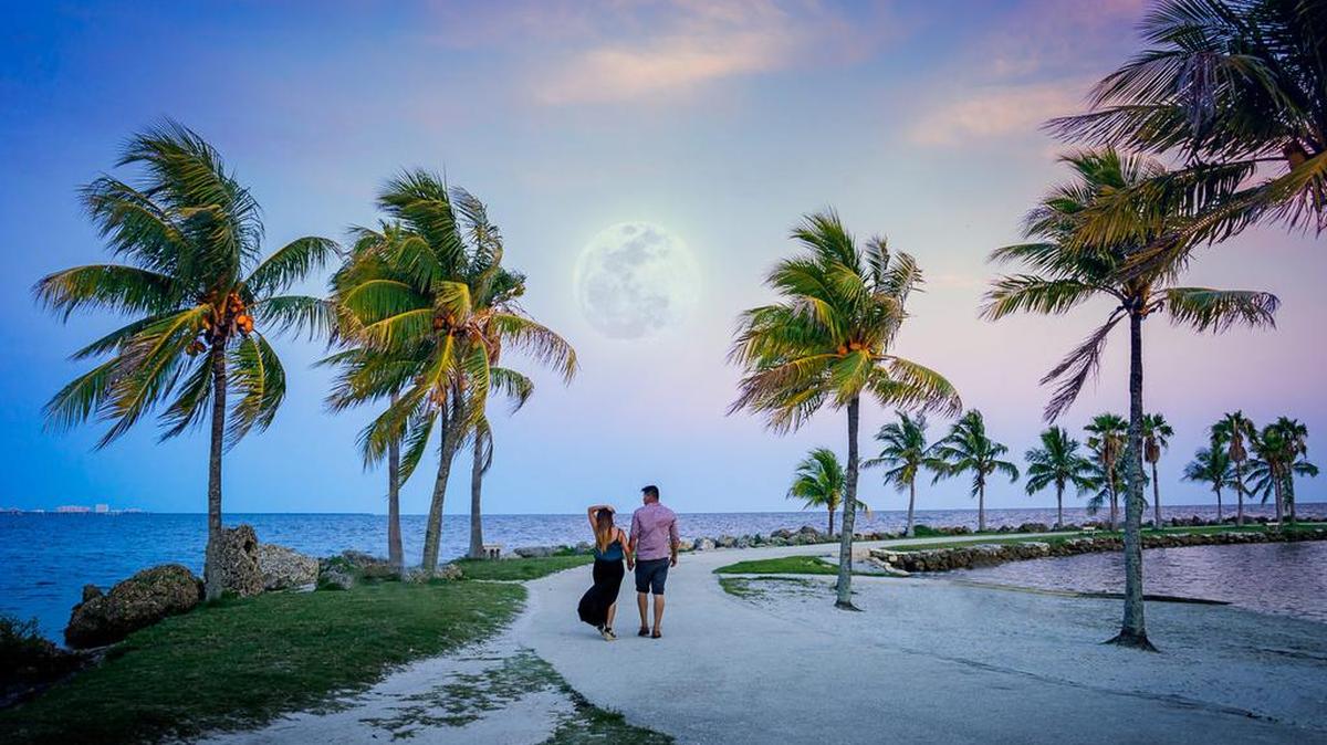 Matheson Hammock Park.