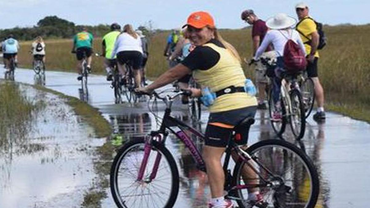 Sin lugar a dudas el Shark Valley Trail, que te lleva al mismo corazón de los Everglades, es una de las rutas más salvajes y auténticas para recorrer en bicicleta.