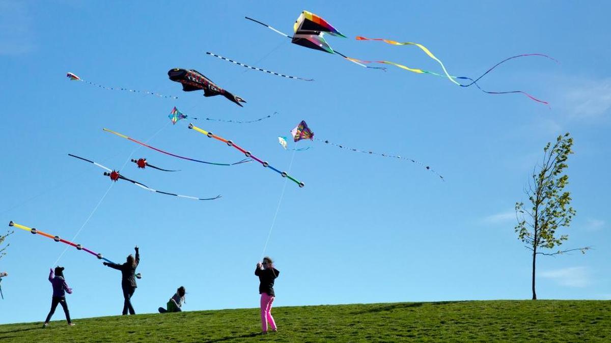 El festival de la cometa o el papalote, cumple 25 años. Prepárate para ver el cielo lleno de cientos de cometas con una maravillosa variedad de colores y figuras en el aire.