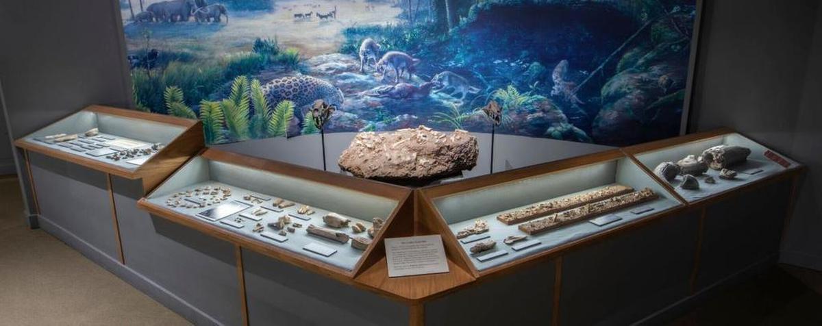 Día de diversión familiar gratis: un día en el museo en el HistoryMiami Museum.