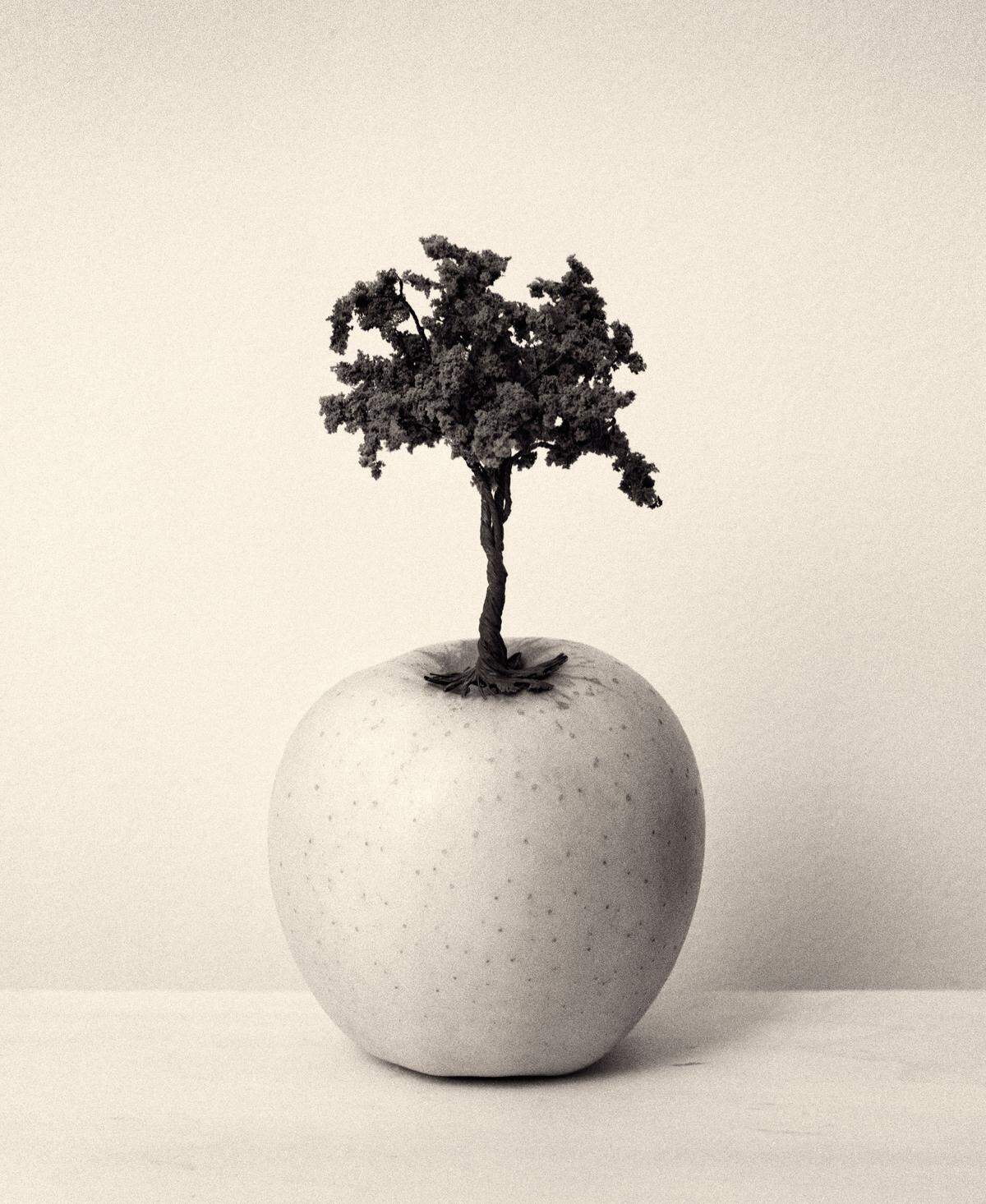 Chema Madoz, Sin título, Serie El viajero inmóvil, 2017, Miradas de Asturias.