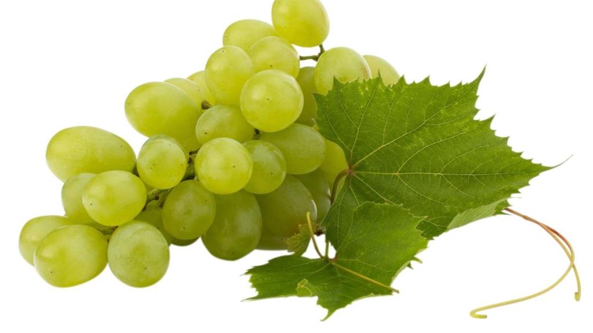 Capricornio, que no falten tus doce uvas a las doce de la noche. Cada vez que te comas una, ve pidiendo un deseo.