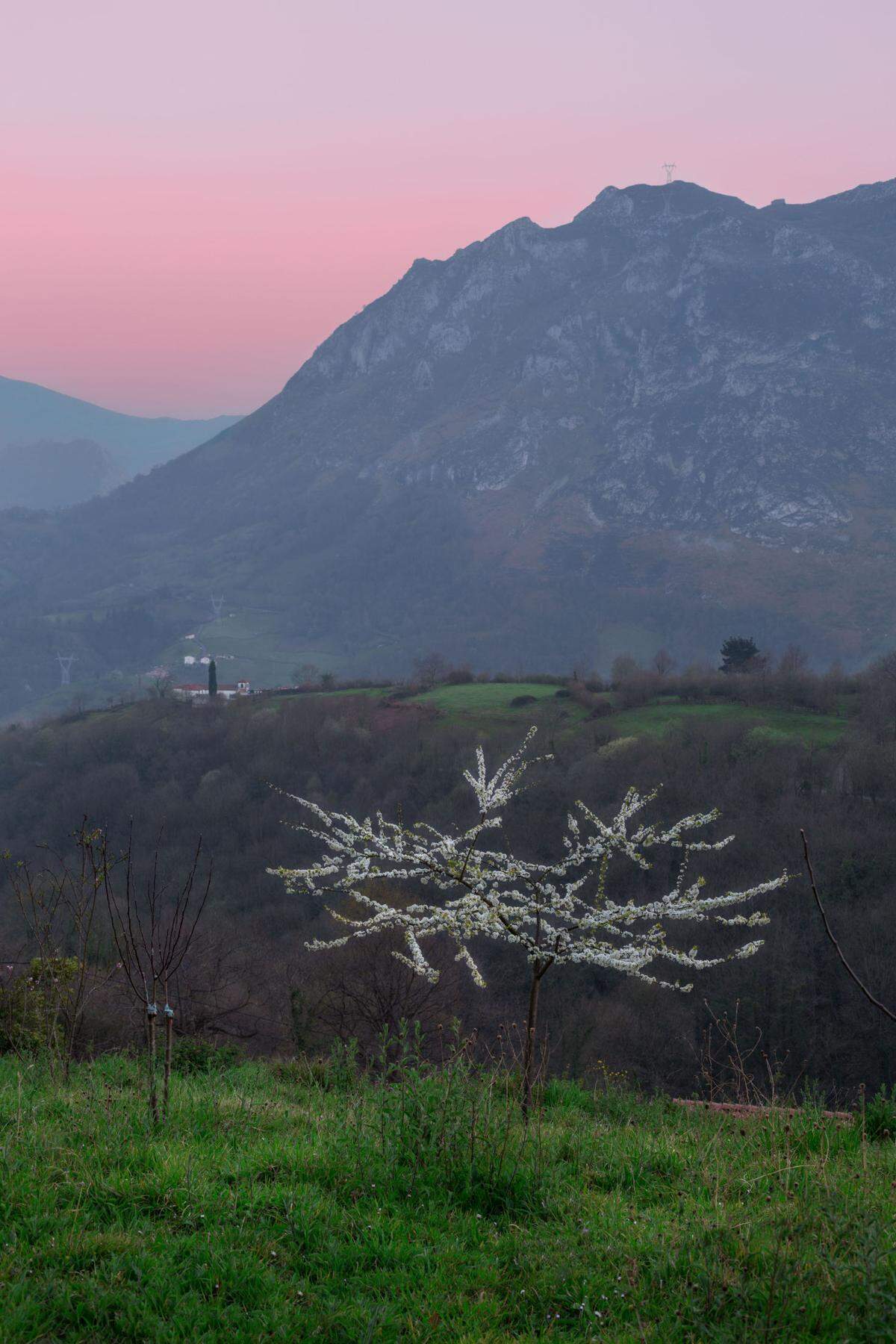 Ouka Leele, Nívea floración. Peñanes de Morcín, Serie A donde la luz me lleve, 2015, Miradas de Asturias.