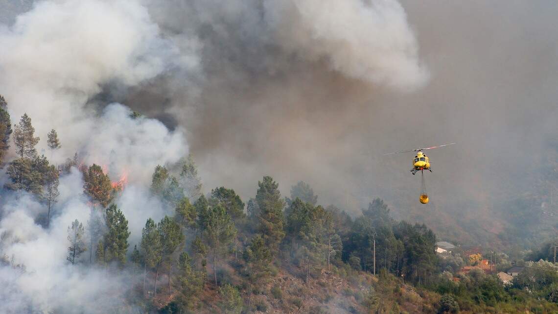 Más de 20 incendios arrasan regiones de España y Portugal | El Nuevo Herald