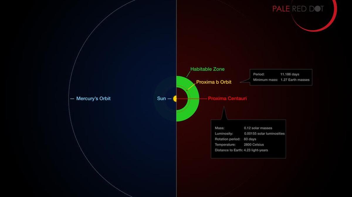 Bautizado Próxima b, este exoplaneta rocoso, dotado de una masa cercana a la de la Tierra, está ubicado en una zona considerada “habitable” o “templada”.