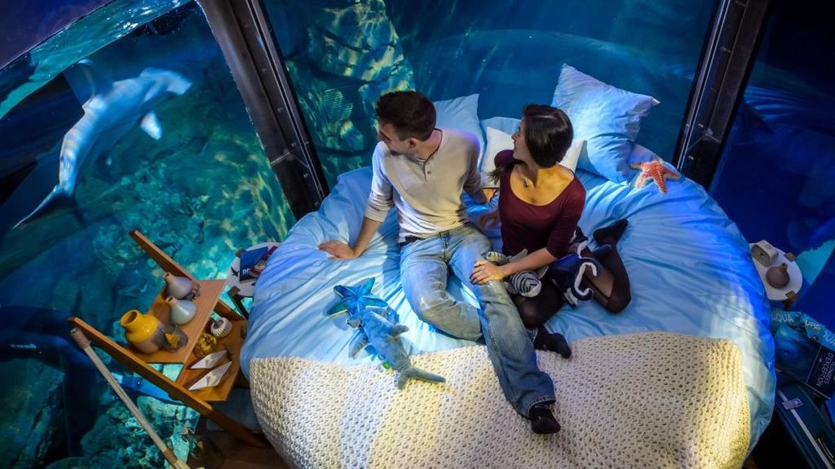 La pareja de turistas estadounidenses Kimly Do (d) y Flip Senn (i), ganadores del concurso de Airbnb disfrutan su premio, una noche en una habitación rodeada de tiburones, hoy, martes 12 de abril de 2016, en el Acuario de París (Francia).