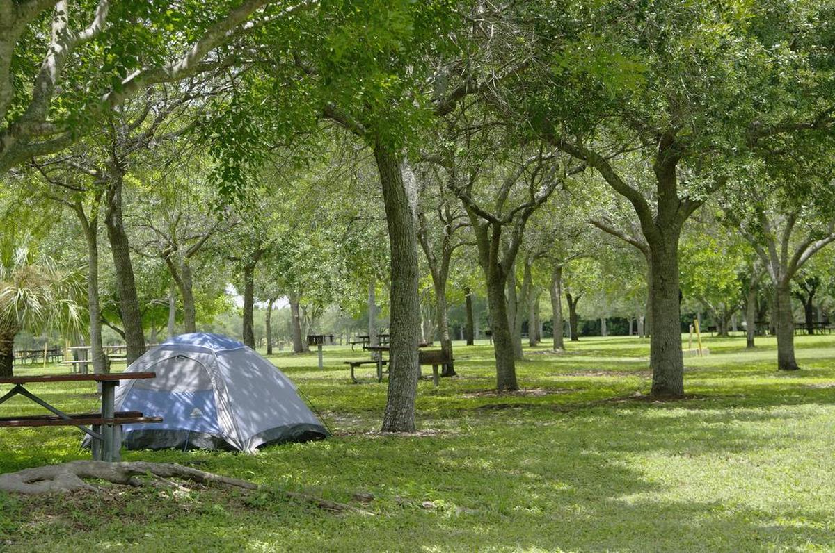 En el Parque Larry and Penny Thompson de Miami se puede acampar de distintas formas, incluyendo cabañas de madera y tiendas de campaña.