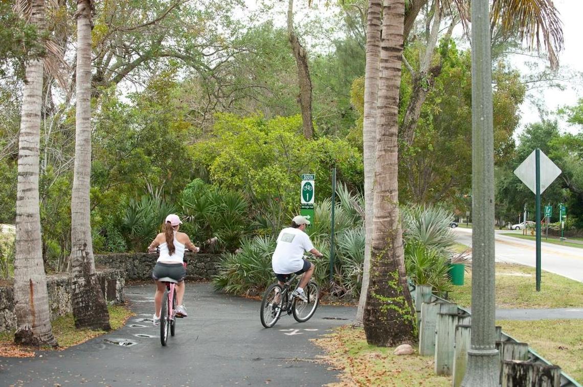 Cyclists ride along Old Cutler Trail, which goes south along Old Cutler Road through beautiful historic neighborhoods and past Matheson Hammock Park and Fairchild Tropical Botanic Garden in Coral Gables.