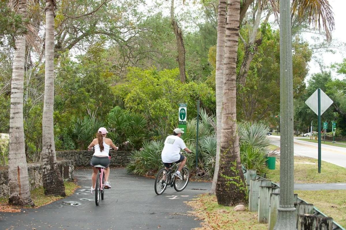 Cyclists ride along Old Cutler Trail, which goes south along Old Cutler Road through beautiful historic neighborhoods  and past Matheson Hammock Park and Fairchild Tropical Botanic Garden in Coral Gables.