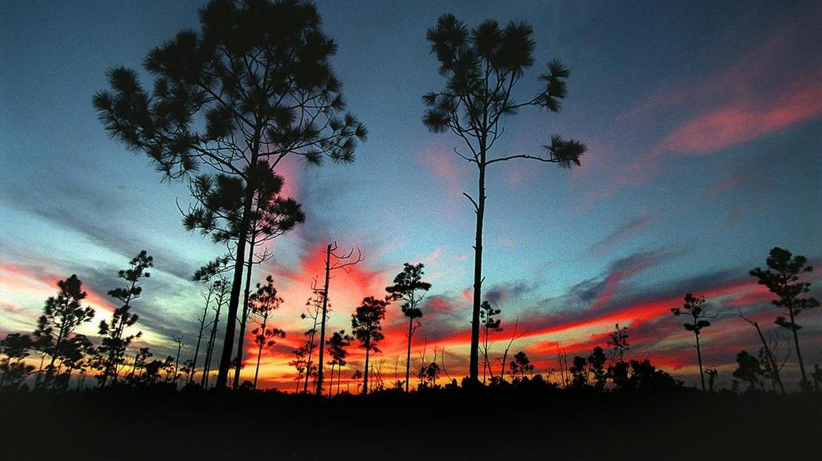 Atardeceres de ensueño en el Parque Nacional Everglades, uno de los mayores polos de atracción de turistas en Miami donde es permitido hacer camping.