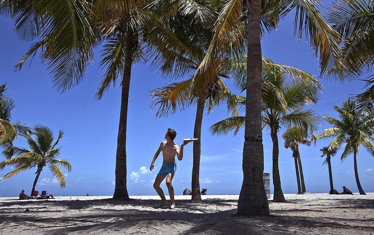Yannik Sohns, visitante alemán, usa un pedazo de madera para tratar de tumbar un coco de la palmera en Crandon Beach.