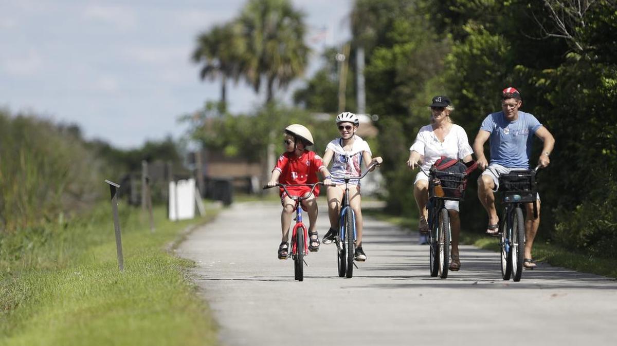 Una familia pasea en bicicleta por la espectacular ruta Shark Valley del Parque Nacional Everglades. Además de divertirte, esta vía permite ver de cerca la fauna silvestre de Miami, especialmente caimanes.