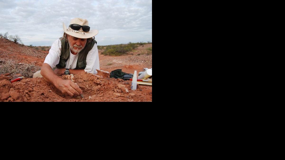 
El paleontologo argentino Ricardo Martínez en un yacimiento de microfósiles en la provincia de San Juan (oeste), un lugar bautizado por los investigadores como Quebrada del Puma. Este descubrimiento ha develado la existencia de 12 nuevas especies, antecesoras de dinosaurios, mamíferos y tortugas primitivas de hace unos 200 millones de años.


