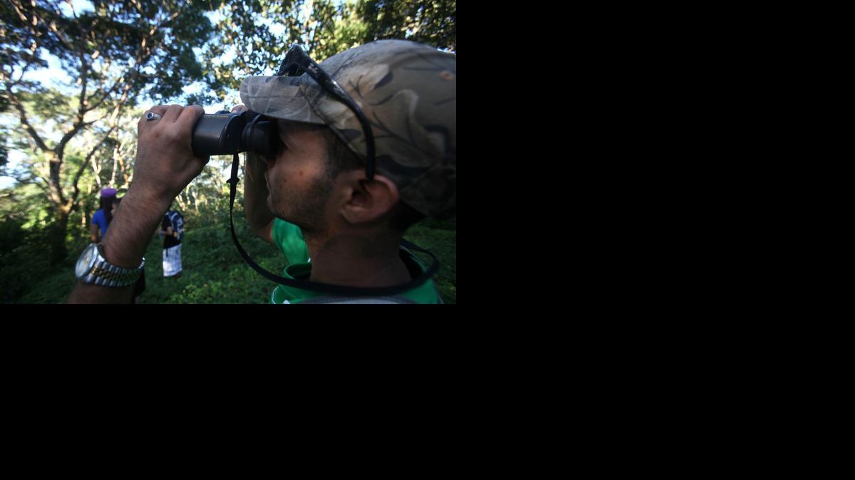 
Un hombre observa aves en la reserva biológica volcán Mombacho en Masaya, Nicaragua, el sábado. 
