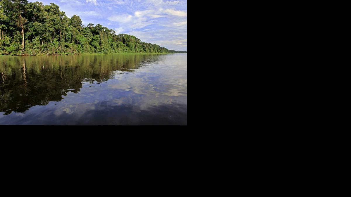
Fotografìa del 20 de septiembre de 2014, vista de los canales de Tortuguero. Enclavado en el Caribe de Costa Rica se encuentra Tortuguero, un pueblo que se acostumbró a vivir rodeado de agua dulce, de mar y de una riqueza natural que aprendió a cuidar para el beneficio propio y el disfrute de miles de turistas. Imagen de archivo.
