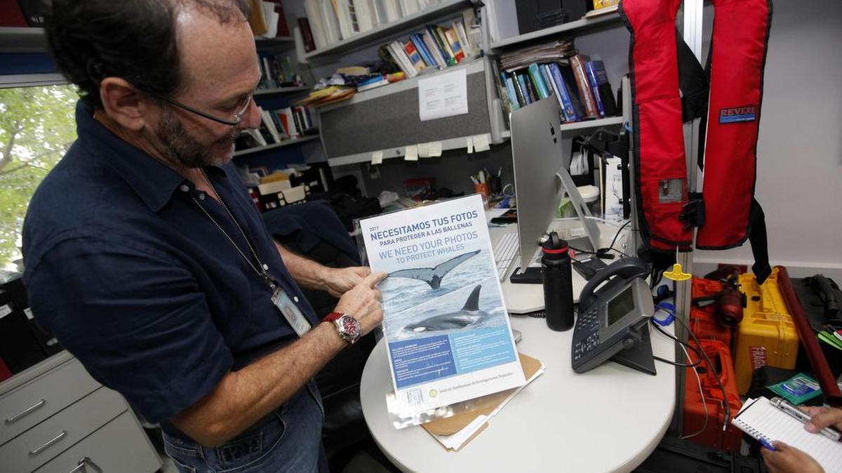 El biólogo marino e investigador del Instituto Smithsonian de Investigaciones Tropicales Héctor Guzmán participa en una entrevista con Efe el lunes 31 de julio de 2017, en Ciudad de Panamá.