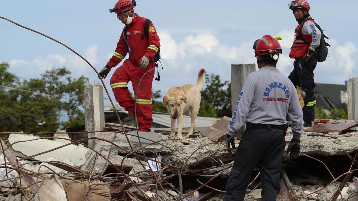 Rescatistas con perros amaestrados buscan sobrevivientes en el sector de Pedernales (Ecuador) hoy, lunes 18 de abril de 2016, en la zona afectada por el terremoto de 7,8 grados en la escala de Richter registrado el sábado en la costa norte de Ecuador. 