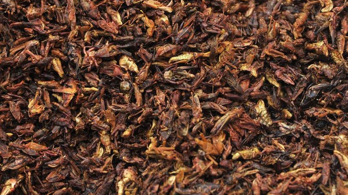 Fotografía del día 17 de noviembre de 2016, que muestra la venta de chapulines en el mercado de San Juan en Ciudad de México, (México).