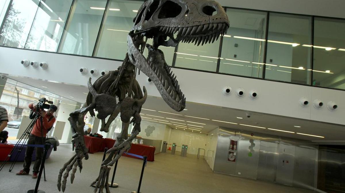 Vista de el 13 de julio de 2016, de la presentación de Gualicho shinyae, un insólito dinosaurio carnívoro que habitó en la Patagonia Argentina durante el periodo Cretácico Superior, en un evento realizado en Buenos Aires.