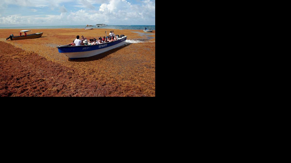 
Una embarcacion se abre paso el jueves en una playa invadida de algas en la isla de San Andrés, Colombia.



