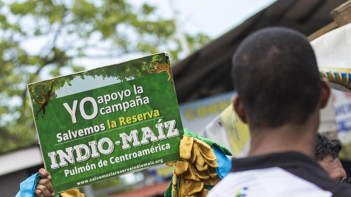 Fotografía de un afiche para concienciar a la población sobre las amenazas contra la Reserva biológica Indio Maíz el jueves, 4 de mayo de 2017, en Managua (Nicaragua).