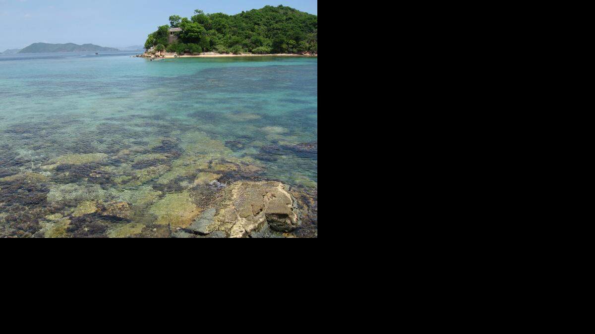 
El hecho delictivo se registró hacia el mediodía de este viernes en la Playa Isla Arapito, a unos 15 kilómetros de Puerto la Cruz, en la frontera de los estados Anzoátegui y Sucre.
