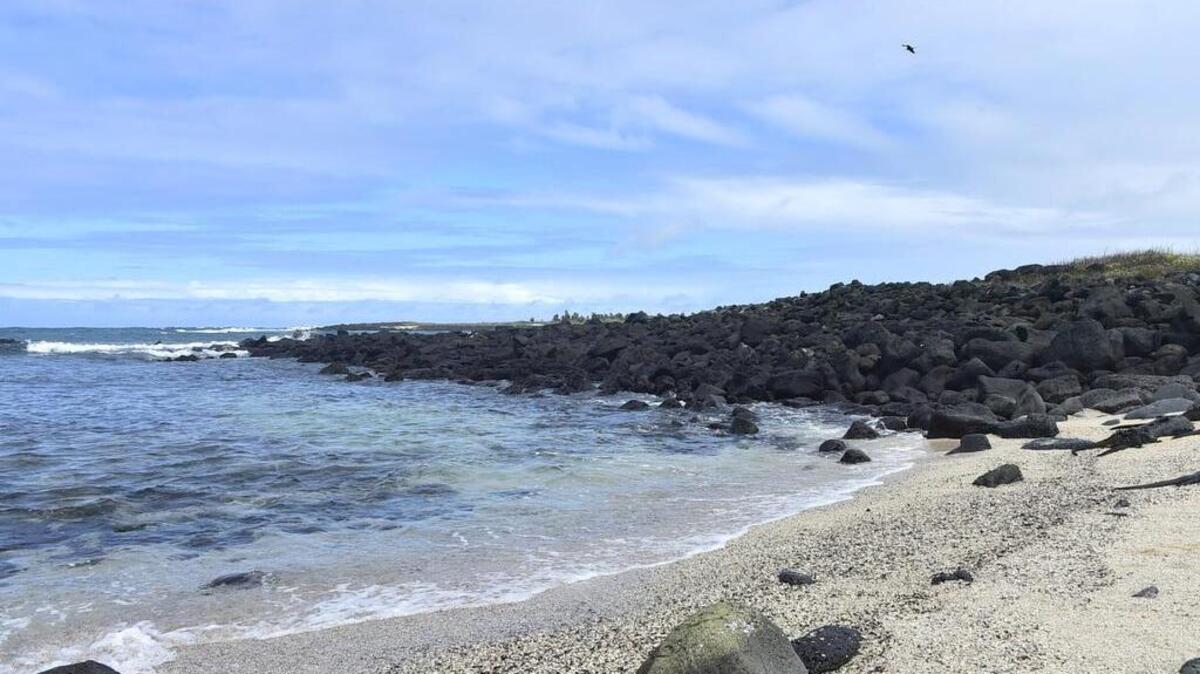 
‘Playa de los Perros’ en la isla Santa Cruz en el archipiélago Galápagos, Ecuador.
