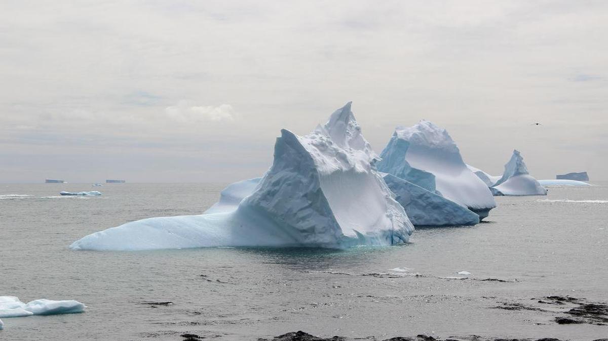 Fotografía tomada en enero de 2017, cedida por Renato Borrás, de un glaciar en la península Cabo Shirreff, situada en la isla Livingston en la Antártida. 