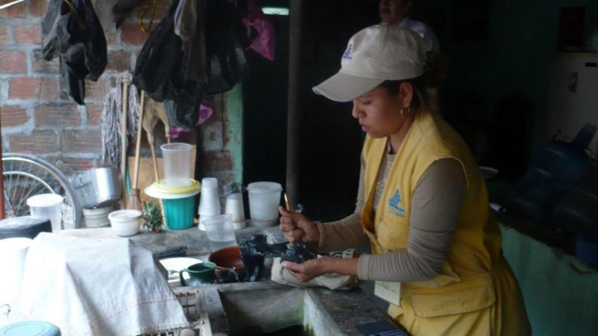 Mayra Regidor, una trabajadora del ministerio de Saludo de México, distribuye insecticida en polvo como parte de una operación anti-dengue en Tecoman.