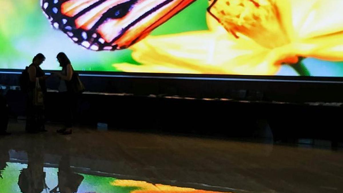 Una enorme imagen de una mariposa monarca recibe a los participantes a la Convención de la diversidad biológica en Cancún, el viernes.