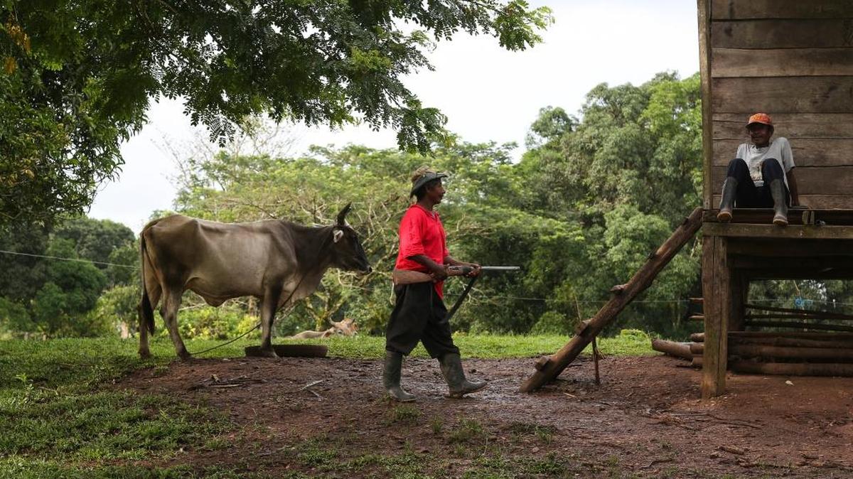 Un misquito patrulla La Esperanza, una comunidad indígena en Río Coco, Nicaragua, el 21 de agosto. Las comunidades indígenas en la costa caribeña de Nicaragua denuncian ataques de colonos que se apropian de sus tierras ancestrales.