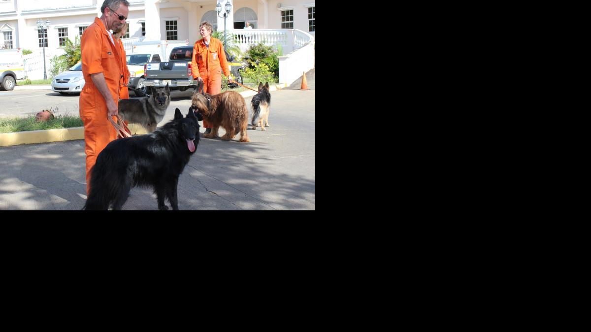 
Perros rastreadores y expertos holandeses concluyeron sin éxito una nueva búsqueda de más restos de las dos jóvenes holandesas muertas en las montañas de Panamá.
