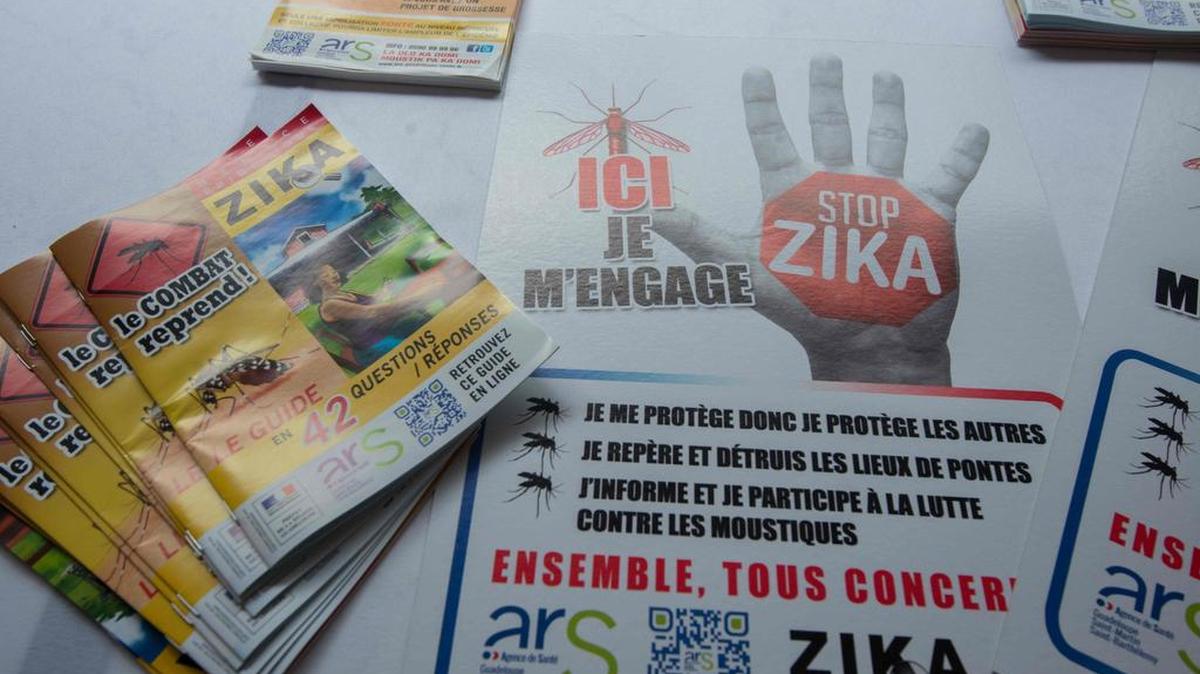 Una foto tomada el 4 de marzo del año 2016 muestra volantes y carteles durante el lanzamiento de una campaña para luchar contra el virus Zika en Petit-Bourg, en la región francesa de ultramar de Guadalupe.