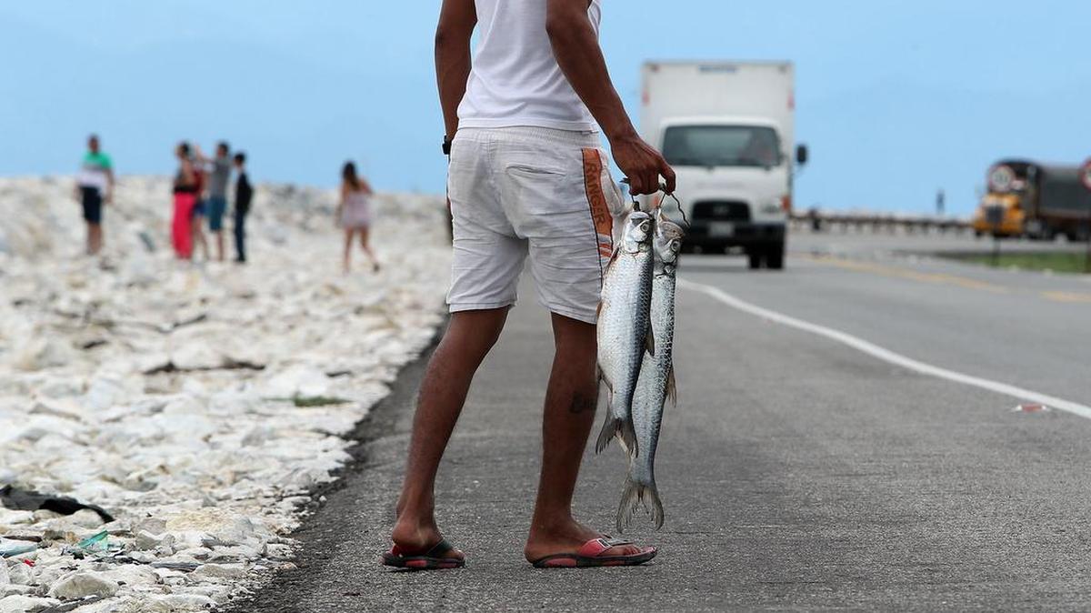 Fotografía fechada el 06 de octubre de 2017 que muestra de pescadores en la carretera que comunica a Barranquilla con Santa Marta en el Parque Isla de Salamanca (Colombia).