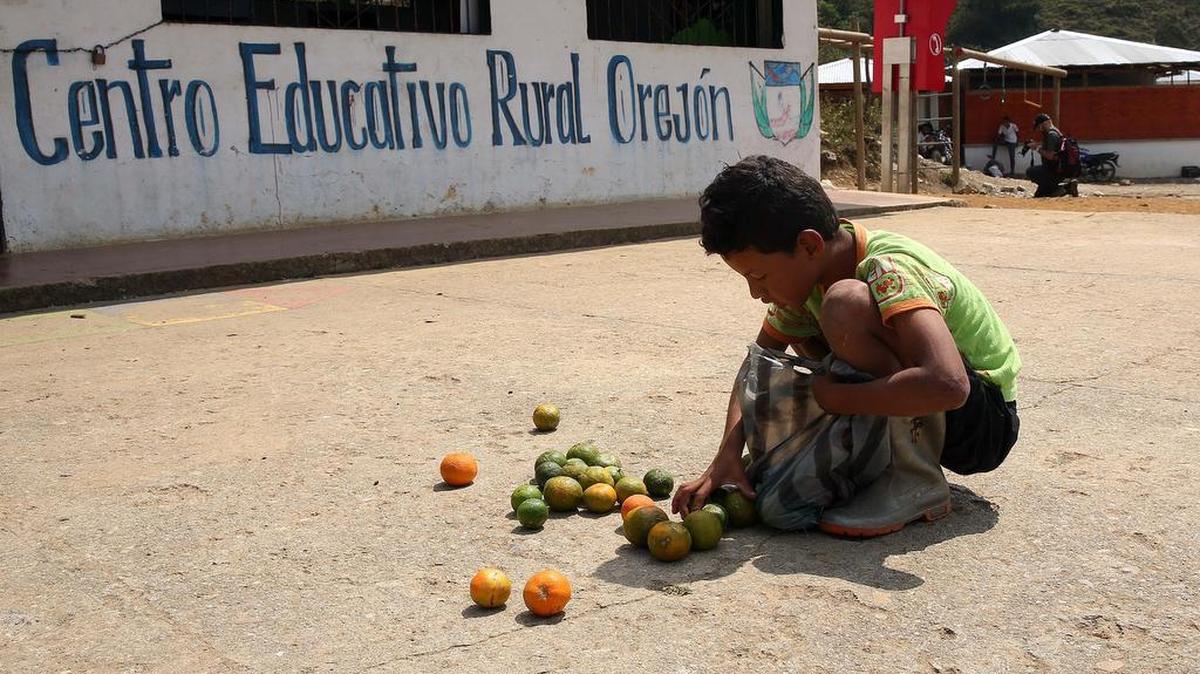 Fotografía del 7 de Marzo de 2016 de un niño con limones en el Orejón, un caserío que es el territorio más minado de Colombia, y donde se espera que el proceso de paz con la guerrilla de las FARC no solo elimine los explosivos sembrados, sino que los saque del olvido del Estado en que han vivido desde siempre.